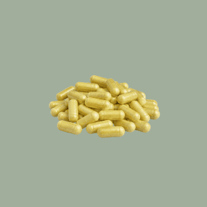 Quercetin 500 mg (60 caps)